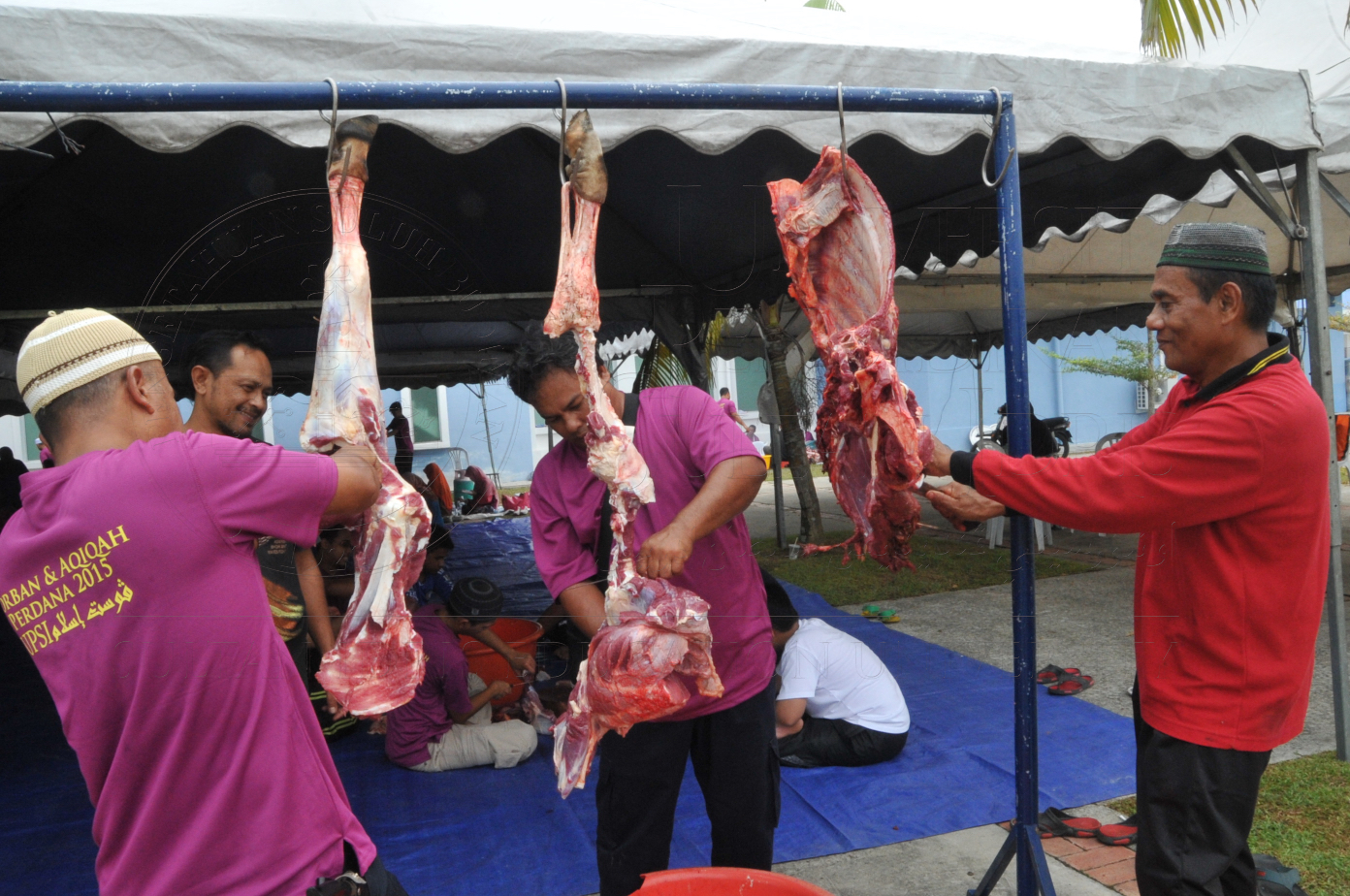 PRO15 150 KORBAN HAS 7020